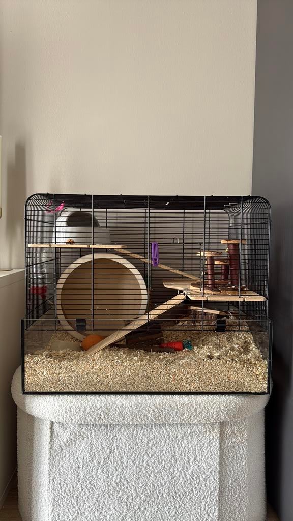 Hamsterkooi, Kooi, Minder dan 75 cm, Zo goed als nieuw, Ophalen