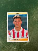 Panini plaatje Luc Nilis PSV voetbal 95, Ophalen of Verzenden, Zo goed als nieuw, PSV