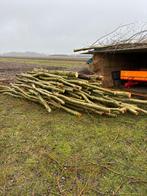 Haardhout te koop t.e.a.b, Minder dan 3 m³, Ophalen of Verzenden
