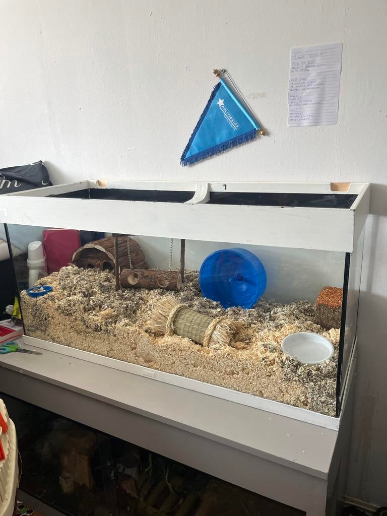 Aquarium bak waar hamster ingezeten heeft, Dieren en Toebehoren, Ophalen, Kooi, Hamster, 60 tot 90 cm