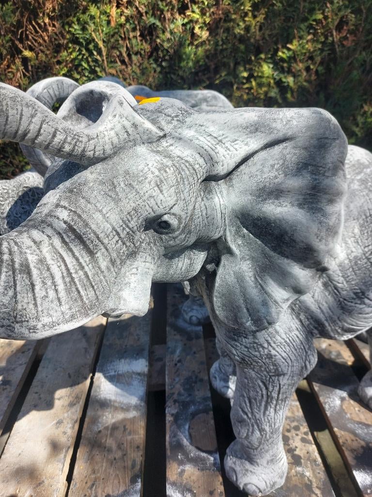 Crealisa, DE Beeldenspecialist van het Zuiden, Ophalen of Verzenden, Nieuw, Beton, Dierenbeeld