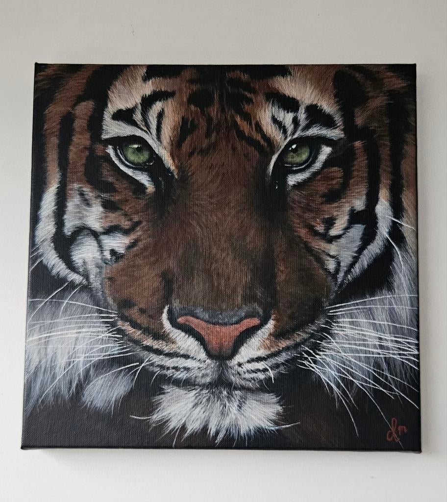 Handgemaakt Realistisch Tijger Acrylverf Schilderij 30x30 cm, Ophalen of Verzenden