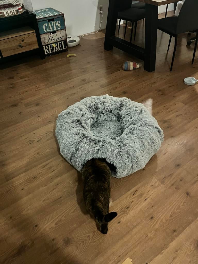 Groot katten donut inclusief kussen, Dieren en Toebehoren, Katten-accessoires, Ophalen of Verzenden, Zo goed als nieuw
