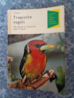 Tropische vogels - H. Bechtel, Ophalen of Verzenden