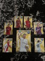 FIFA Panini Limited Edition Kaarten, Ophalen of Verzenden, Zo goed als nieuw, Overige sporten, Spelerskaart
