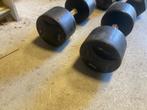 Dumbells 2x24 kg, Sport en Fitness, Fitnessmaterialen, Ophalen, Zo goed als nieuw, Rug, Dumbbell