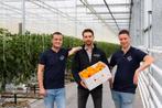 Onderhoudsmonteur, Variabele uren, Tijdelijk contract