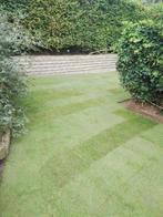 Graszoden, Tuin en Terras, Gras en Kunstgras, Ophalen of Verzenden, Nieuw, 20 m² of meer, Gras