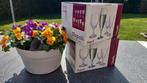 Partij 8 ds Champagne Cocktail Flute glazen Huwelijk Trouwen, Ophalen of Verzenden, Zo goed als nieuw, Overige typen