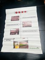 Oude reclame poster grolsch / psv, Verzamelen, Ophalen, Zo goed als nieuw, A1 t/m A3, Muziek
