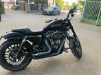 Harley Davidson Roadster 1200, Motoren, Particulier, Chopper