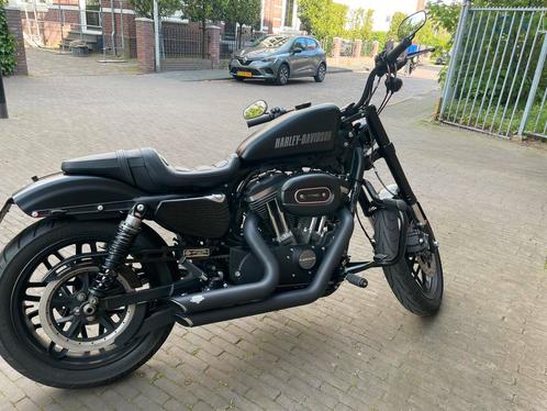 Harley Davidson Roadster 1200, Motoren, Motoren | Harley-Davidson, Particulier, Chopper, Ophalen