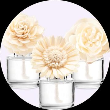 Uitverkoop Scentsy Geurbloemen NIEUW 2 stuks voor €30 beschikbaar voor biedingen