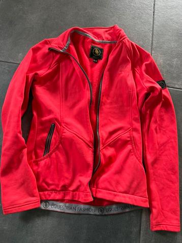 Set paardrijdkleding maat S XS beschikbaar voor biedingen