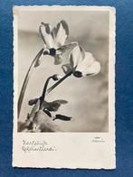 Cyclamen kaart, Wenen, jaren '30, Ophalen of Verzenden, 1920 tot 1940, Gelopen, Oostenrijk