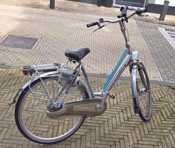 Gazelle Orange || Limited Edition || Service  beschikbaar voor biedingen