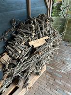 Gedroogd Perenhout - Doe een leuk bod!, Minder dan 3 m³, Ophalen, Overige houtsoorten, Takken