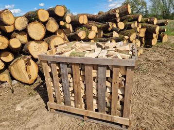 Ovengedroogd Essen Haardhout beschikbaar voor biedingen