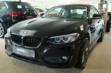 BMW 2 Serie Coupé 220i High Executive Navi, H/leder, PDC, C beschikbaar voor biedingen