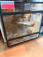 Terrarium 50x50, Dieren en Toebehoren, Reptielen en Amfibieën | Toebehoren, Ophalen, Gebruikt, Terrarium of Paludarium