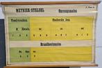 schoolkaart Metriek-stelsel, omvangsmaten, jaren 30/40, Ophalen of Verzenden, Aardrijkskunde