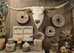 preparaat texas longhoorn opgezet dier hooglander longhorn, Verzamelen, Dierenverzamelingen, Ophalen