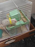 Super lieve hamster zoekt nieuw huisje, Dieren en Toebehoren, Kooi, Minder dan 75 cm, Zo goed als nieuw, Hamster