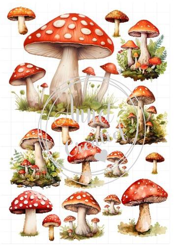 Decal met paddestoelen,Waterslide beschikbaar voor biedingen