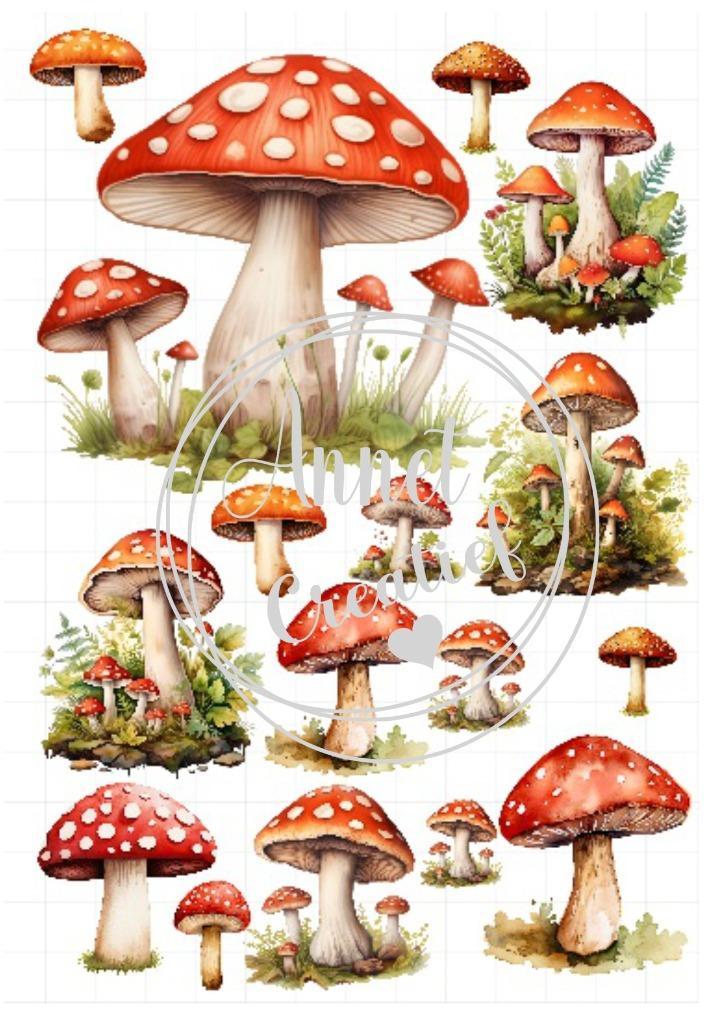 Decal met paddestoelen,Waterslide, Hobby en Vrije tijd, Knutselen, Nieuw, Ophalen of Verzenden