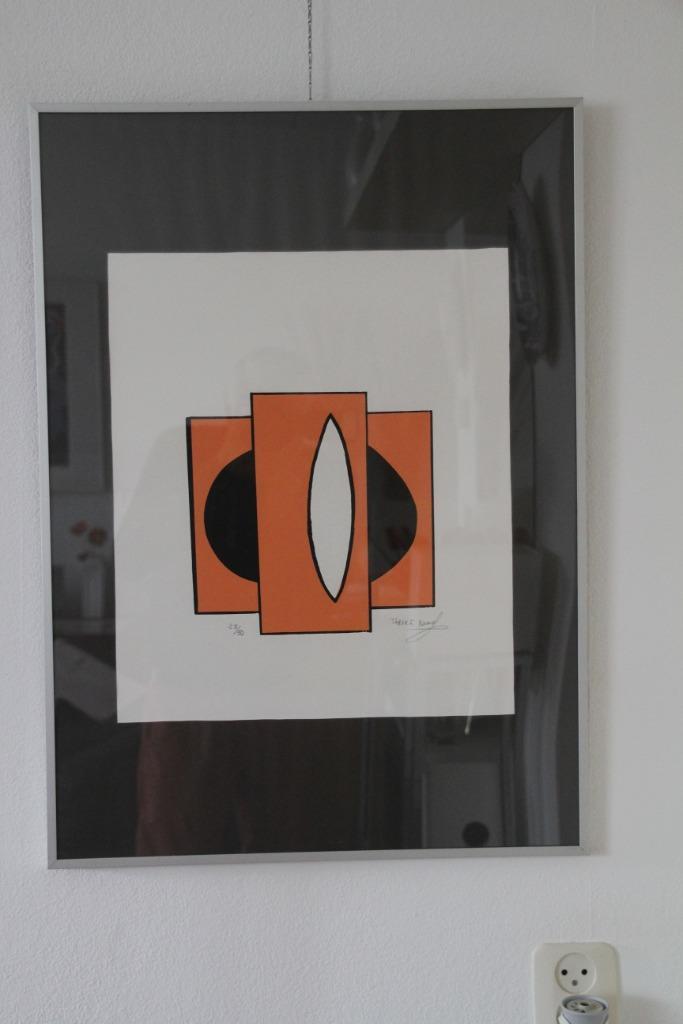 Zeefdruk van Tarek F. Kamal, Antiek en Kunst, Kunst | Litho's en Zeefdrukken, Ophalen