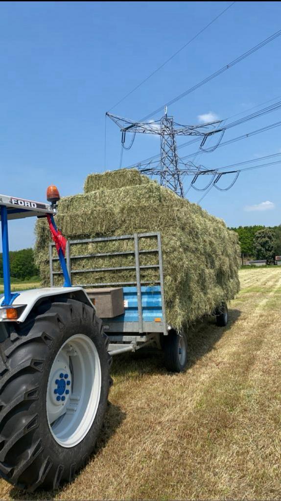 Kleine baaltjes hooi & stro te koop, Dieren en Toebehoren, Dierenvoeding, Vee, Ophalen