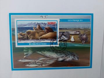 284 Motief  Dier, Dieren, Zeedier, Zeedieren, Zeehond beschikbaar voor biedingen