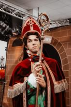 Sinterklaas bedrijfsshow gezocht?