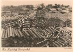 Her mijn bedrijf  / leufkes  foto, Verzamelen, Verzenden, 1940 tot 1960, Ongelopen, Limburg