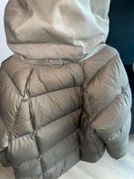 TEN C, Ophalen, Zo goed als nieuw, Maat 42/44 (L)