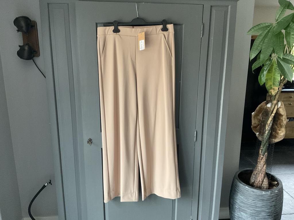 Studio Anneloes Lexie Broek Bonded - Maat XXL - Nieuw, Ophalen of Verzenden, Nieuw, Maat 46/48 (XL) of groter, Beige