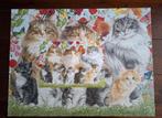 Puzzel Francien Cat Family compleet Katten, poezen, Hobby en Vrije tijd, Denksport en Puzzels, Ophalen of Verzenden, 500 t/m 1500 stukjes