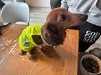 Honden kleding maat S/M, Ophalen of Verzenden, Hondenkostuum