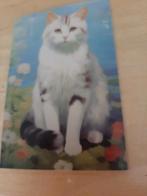 10 ansichtkaarten Poezen, Verzenden, Voor 1920, Ongelopen, Hond of Kat