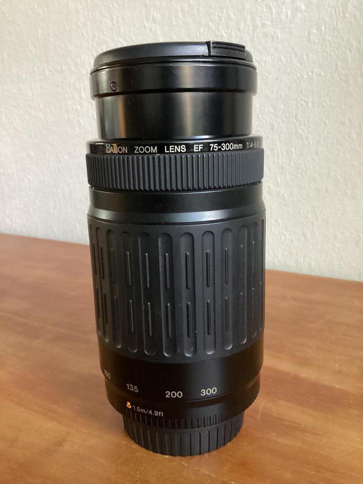 CANON zoomlens- EF75-300mm f/4-5.6, Audio, Tv en Foto, Fotografie | Lenzen en Objectieven, Gebruikt, Telelens, Zoom, Ophalen of Verzenden