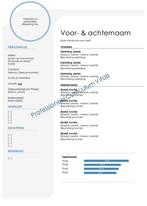 Professioneel curriculum vitae CV