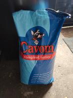 Cavom Senior brok. VERKOCHT, Ophalen, Hond