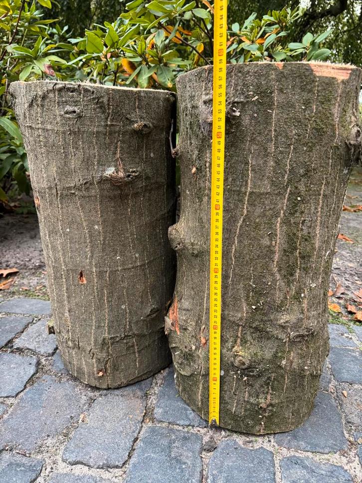 Amerikaans Eiken Boomstam - 60cm, Tuin en Terras, Palen, Balken en Planken, Nieuw, Overige typen, Minder dan 180 cm, Hardhout