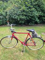koga miyata, Ophalen, Gebruikt, Koga Miyata, Minder dan 10 versnellingen