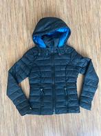 superdry jas, Ophalen of Verzenden, Gedragen, Maat 34 (XS) of kleiner, Zwart