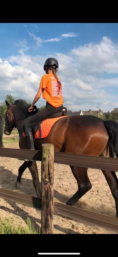 Bijrijder/Verzorgster aangeboden!, Dieren en Toebehoren, Paarden en Pony's | Verzorgingsproducten, Zo goed als nieuw, Ophalen of Verzenden