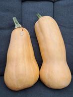 flespompoen Butternut, Diversen, Ophalen