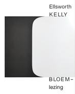 Ellsworth KELLY bloemlezing ISBN: 9789082568660, Gelezen, Rudi Fuchs, Ophalen of Verzenden, Schilder- en Tekenkunst