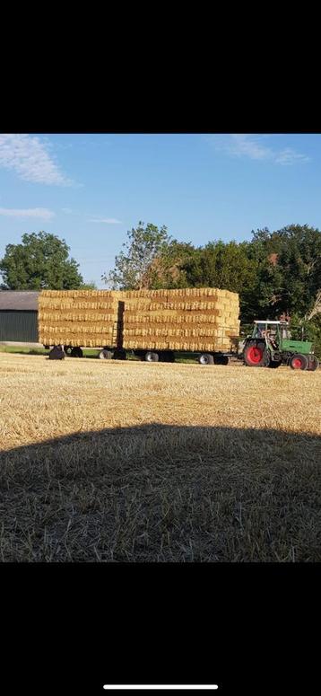 Kleine pakjes tarwe stro beschikbaar voor biedingen