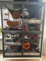 Critter Nation Double level met 3 roestvrijstalen bakken, Dieren en Toebehoren, Ophalen, Kooi, Zo goed als nieuw, 90 cm of meer